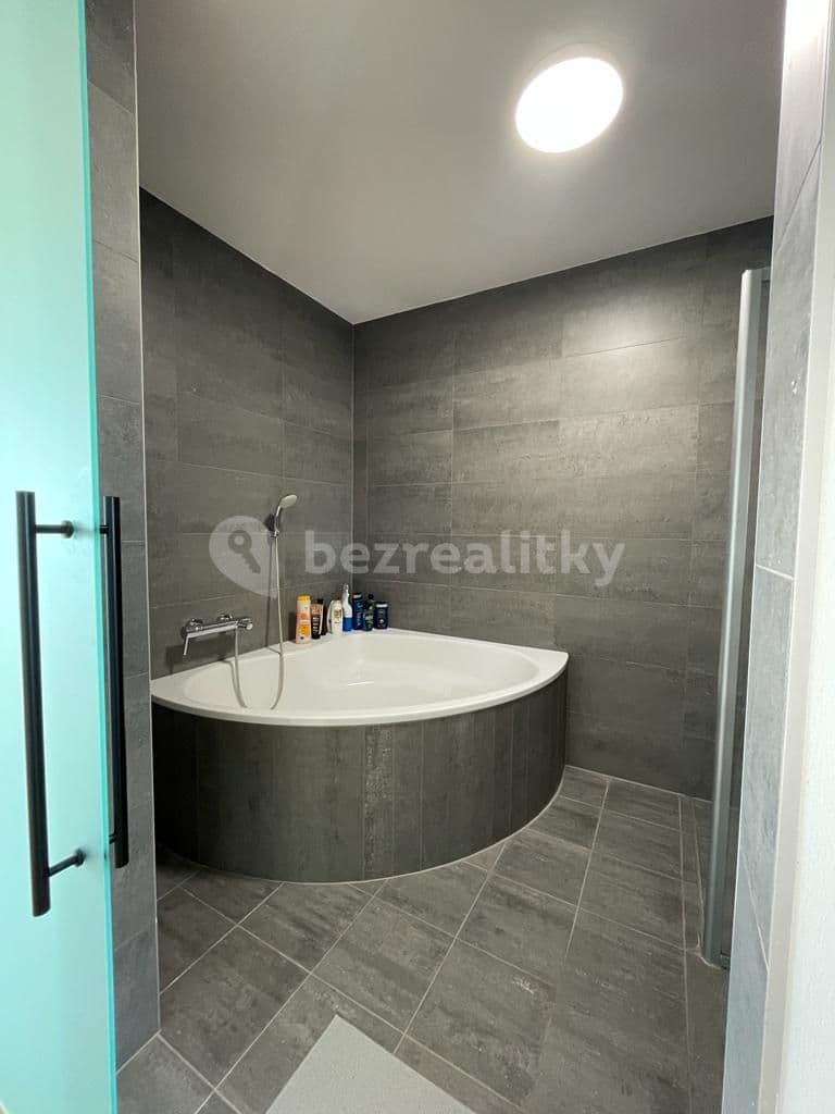 3 bedroom with open-plan kitchen flat to rent, 90 m², U Uranie, Prague, Prague 3 bedroom with open-plan kitchen flat to rent, 90 m², U Uranie, Prague, Prague