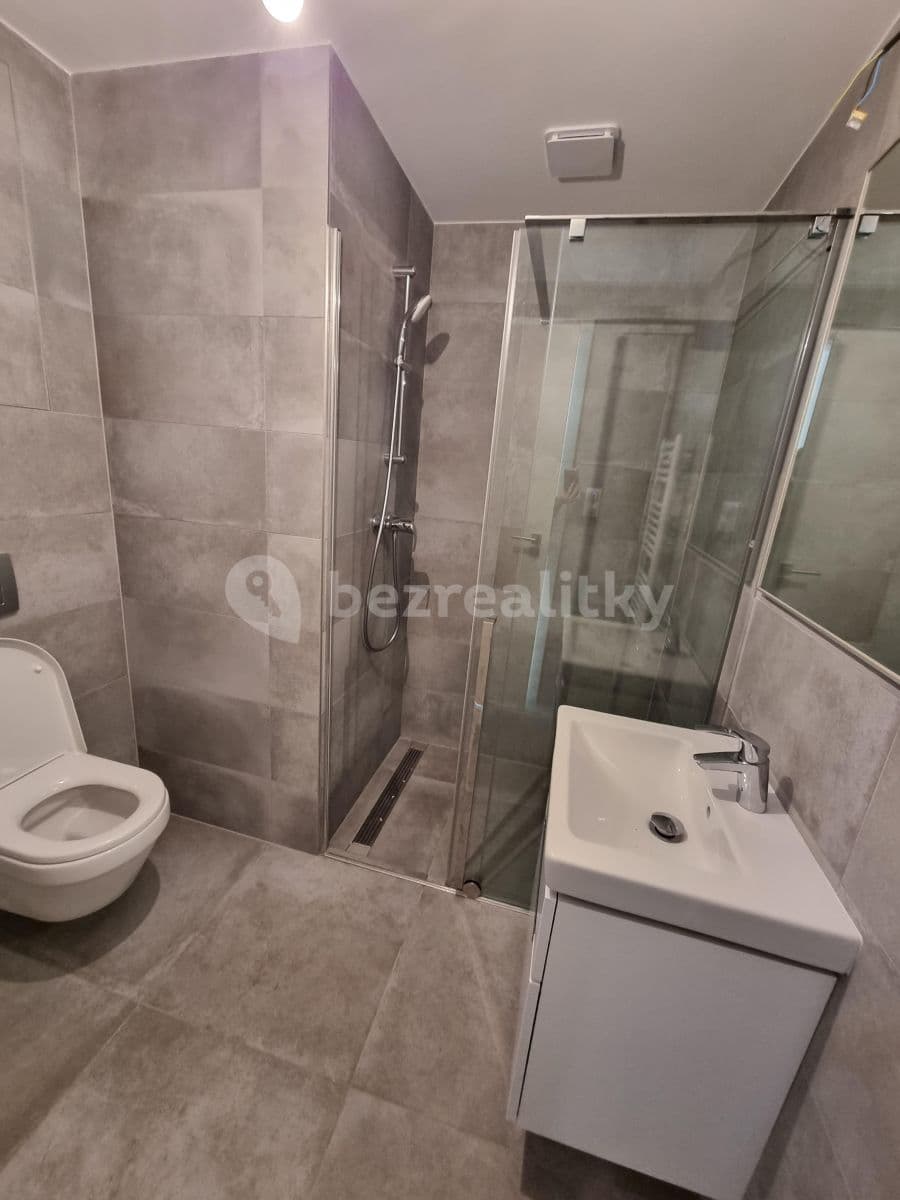 1 bedroom with open-plan kitchen flat to rent, 52 m², Dělnická, Prague, Prague 1 bedroom with open-plan kitchen flat to rent, 52 m², Dělnická, Prague, Prague