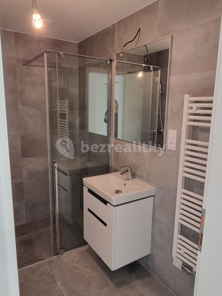 1 bedroom with open-plan kitchen flat to rent, 52 m², Dělnická, Prague, Prague 1 bedroom with open-plan kitchen flat to rent, 52 m², Dělnická, Prague, Prague