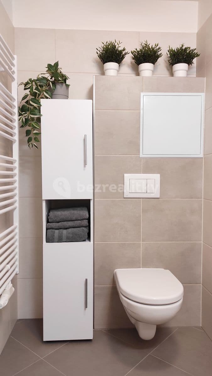 1 bedroom with open-plan kitchen flat to rent, 48 m², Františka Diviše, Prague, Prague 1 bedroom with open-plan kitchen flat to rent, 48 m², Františka Diviše, Prague, Prague