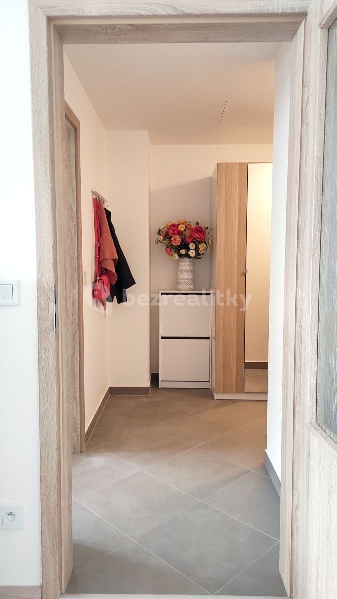 1 bedroom with open-plan kitchen flat to rent, 48 m², Františka Diviše, Prague, Prague 1 bedroom with open-plan kitchen flat to rent, 48 m², Františka Diviše, Prague, Prague