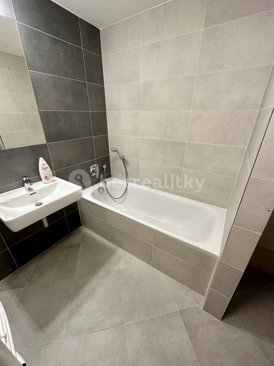 1 bedroom with open-plan kitchen flat to rent, 47 m², U Pergamenky, Prague, Prague 1 bedroom with open-plan kitchen flat to rent, 47 m², U Pergamenky, Prague, Prague
