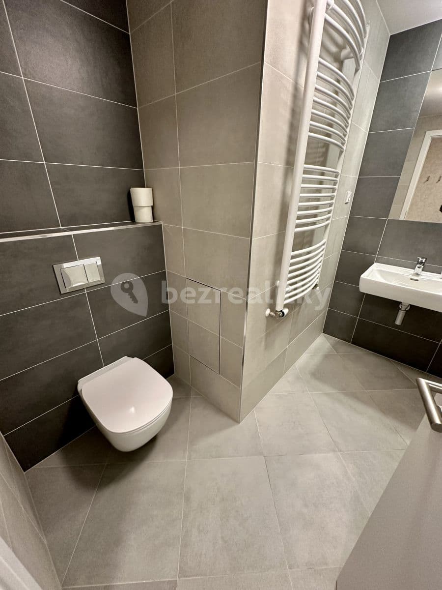 1 bedroom with open-plan kitchen flat to rent, 47 m², U Pergamenky, Prague, Prague 1 bedroom with open-plan kitchen flat to rent, 47 m², U Pergamenky, Prague, Prague