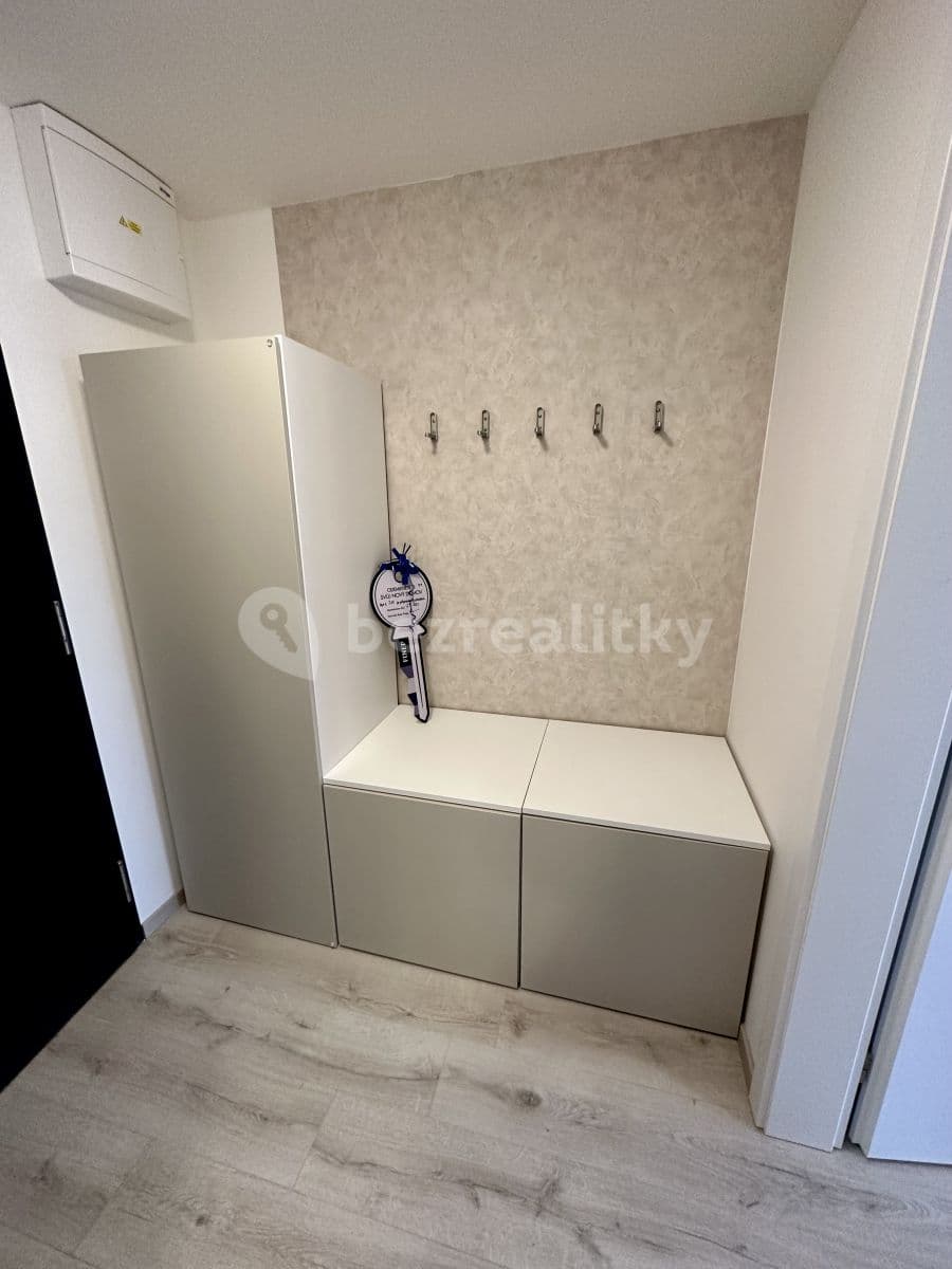 1 bedroom with open-plan kitchen flat to rent, 47 m², U Pergamenky, Prague, Prague 1 bedroom with open-plan kitchen flat to rent, 47 m², U Pergamenky, Prague, Prague