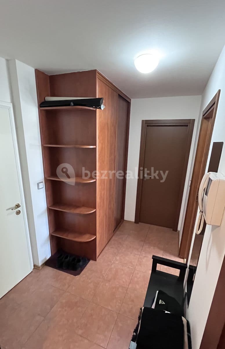1 bedroom with open-plan kitchen flat to rent, 70 m², Podvinný mlýn, Prague, Prague