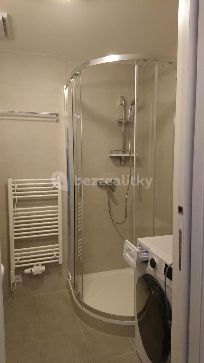 1 bedroom with open-plan kitchen flat to rent, 44 m², Olgy Havlové, Prague, Prague 1 bedroom with open-plan kitchen flat to rent, 44 m², Olgy Havlové, Prague, Prague