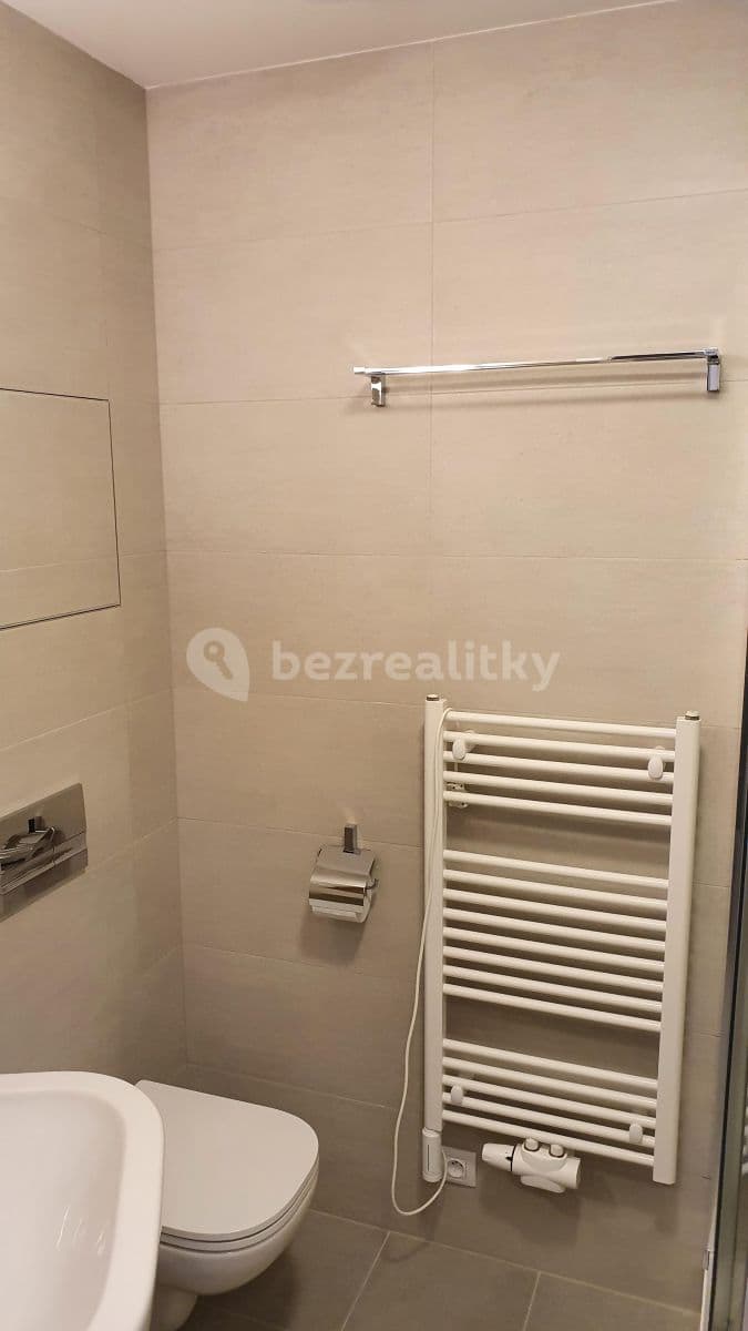 1 bedroom with open-plan kitchen flat to rent, 44 m², Olgy Havlové, Prague, Prague 1 bedroom with open-plan kitchen flat to rent, 44 m², Olgy Havlové, Prague, Prague