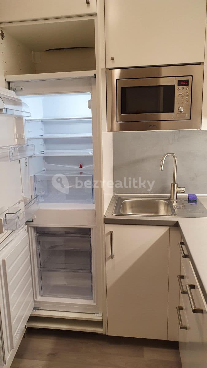 1 bedroom with open-plan kitchen flat to rent, 44 m², Olgy Havlové, Prague, Prague 1 bedroom with open-plan kitchen flat to rent, 44 m², Olgy Havlové, Prague, Prague