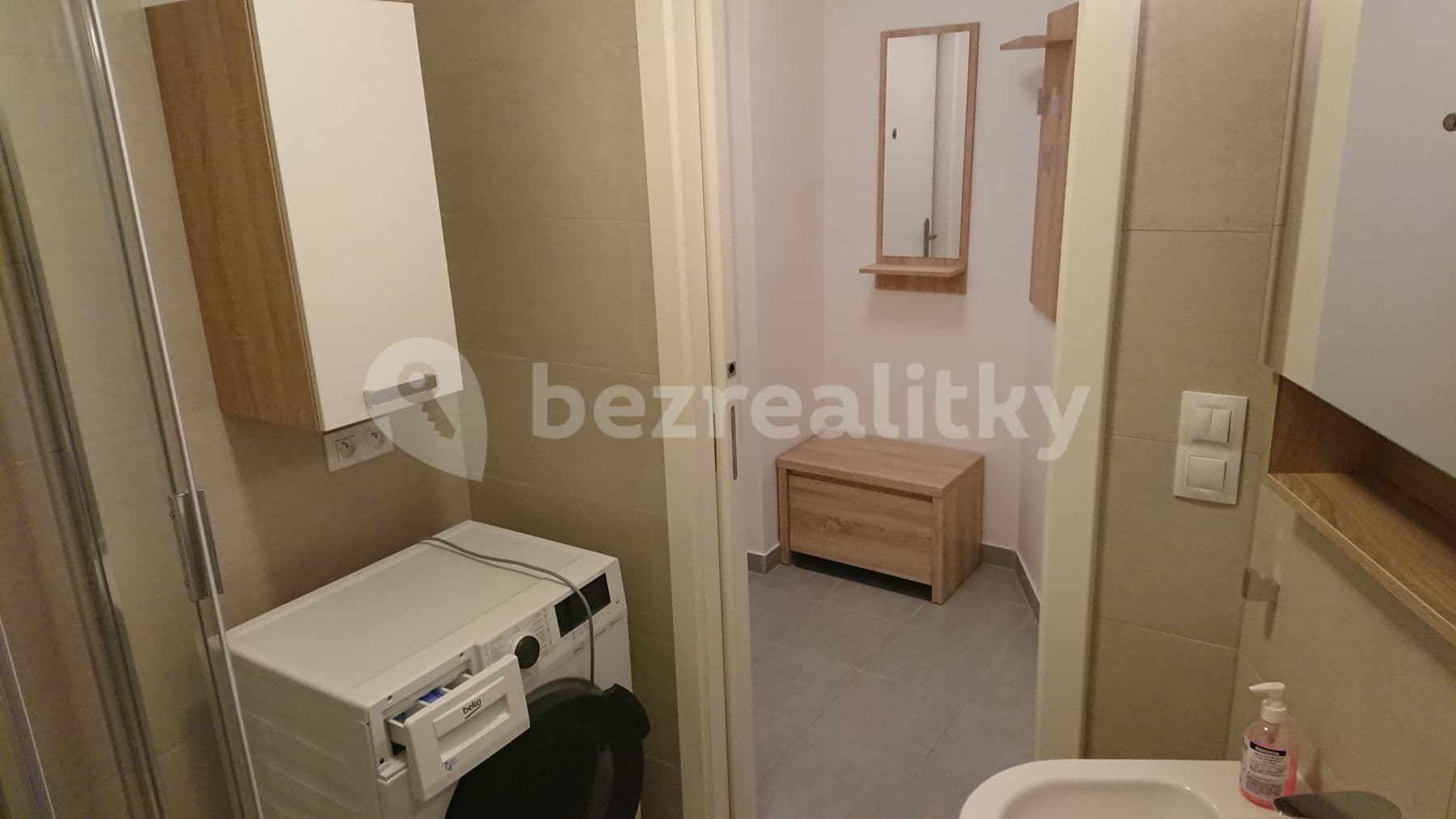 1 bedroom with open-plan kitchen flat to rent, 44 m², Olgy Havlové, Prague, Prague 1 bedroom with open-plan kitchen flat to rent, 44 m², Olgy Havlové, Prague, Prague