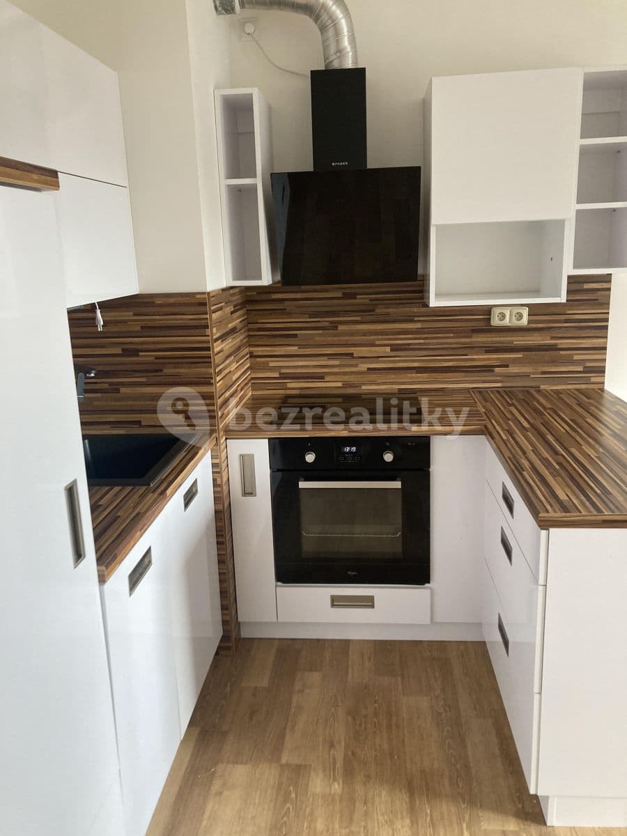 1 bedroom with open-plan kitchen flat to rent, 56 m², Rychtáře Petříka, Prague, Prague 1 bedroom with open-plan kitchen flat to rent, 56 m², Rychtáře Petříka, Prague, Prague