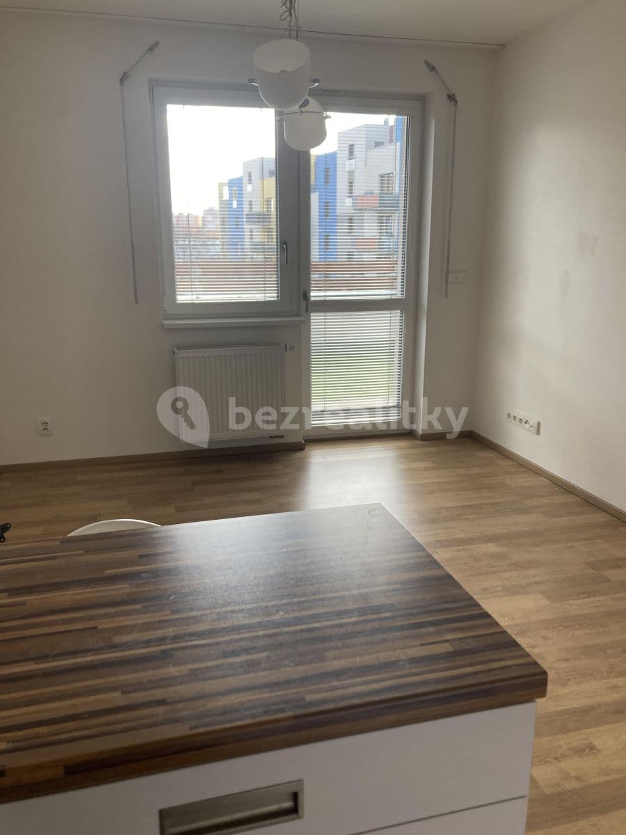 1 bedroom with open-plan kitchen flat to rent, 56 m², Rychtáře Petříka, Prague, Prague 1 bedroom with open-plan kitchen flat to rent, 56 m², Rychtáře Petříka, Prague, Prague