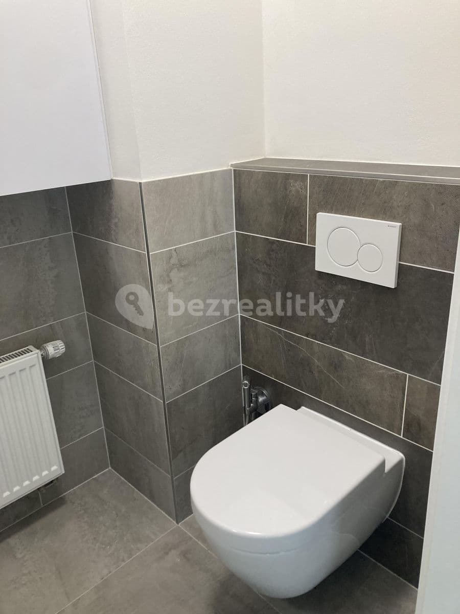 1 bedroom with open-plan kitchen flat to rent, 56 m², Rychtáře Petříka, Prague, Prague 1 bedroom with open-plan kitchen flat to rent, 56 m², Rychtáře Petříka, Prague, Prague