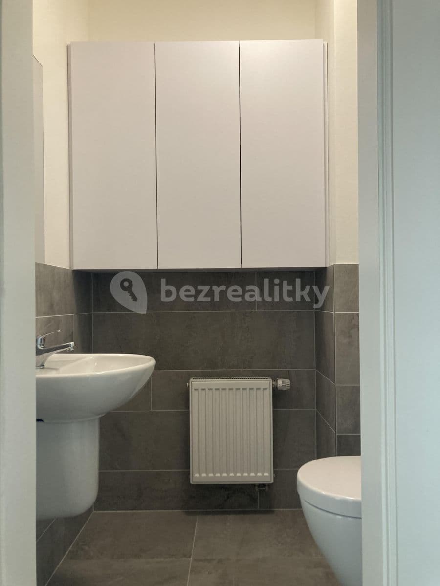 1 bedroom with open-plan kitchen flat to rent, 56 m², Rychtáře Petříka, Prague, Prague 1 bedroom with open-plan kitchen flat to rent, 56 m², Rychtáře Petříka, Prague, Prague
