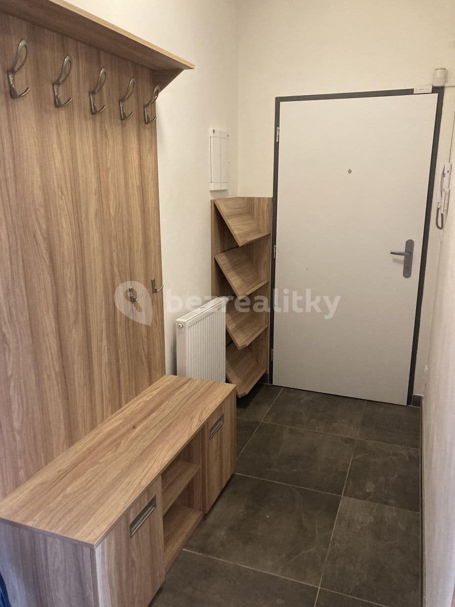 1 bedroom with open-plan kitchen flat to rent, 56 m², Rychtáře Petříka, Prague, Prague 1 bedroom with open-plan kitchen flat to rent, 56 m², Rychtáře Petříka, Prague, Prague
