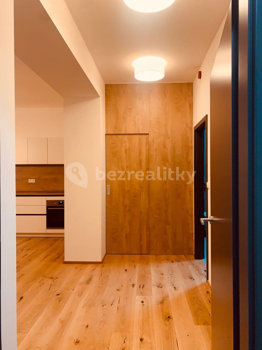 1 bedroom with open-plan kitchen flat for sale, 63 m², Vítkovice, Liberecký Region