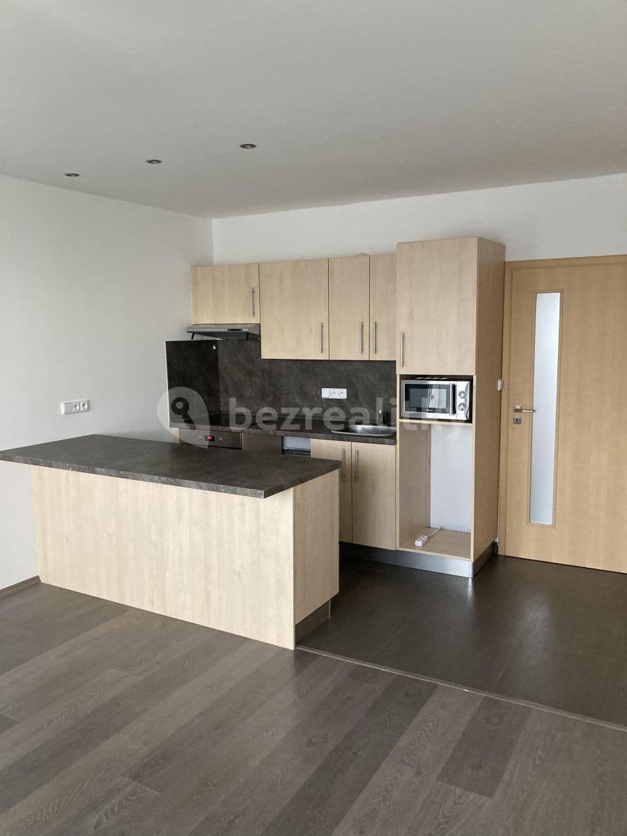 1 bedroom with open-plan kitchen flat to rent, 46 m², Gabinova, Prague, Prague 1 bedroom with open-plan kitchen flat to rent, 46 m², Gabinova, Prague, Prague