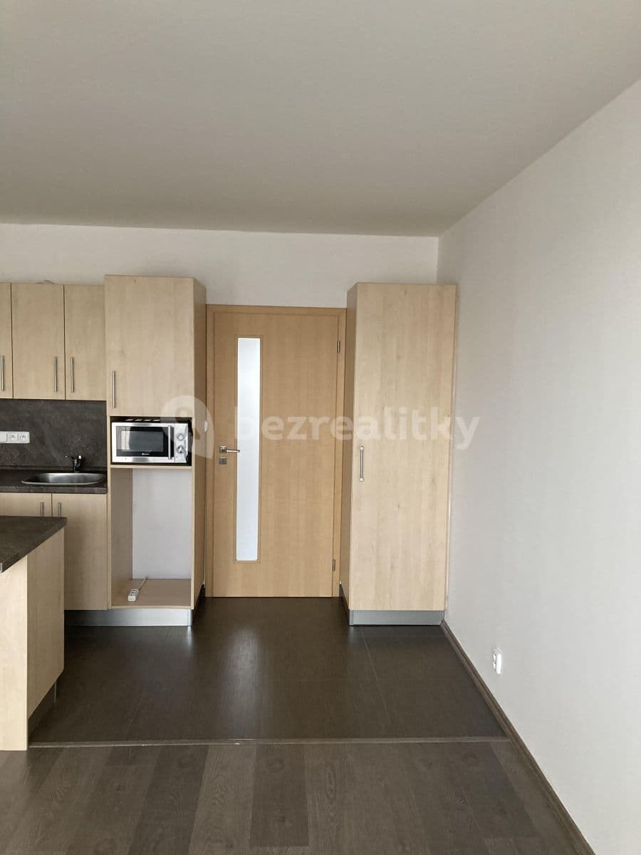 1 bedroom with open-plan kitchen flat to rent, 46 m², Gabinova, Prague, Prague 1 bedroom with open-plan kitchen flat to rent, 46 m², Gabinova, Prague, Prague