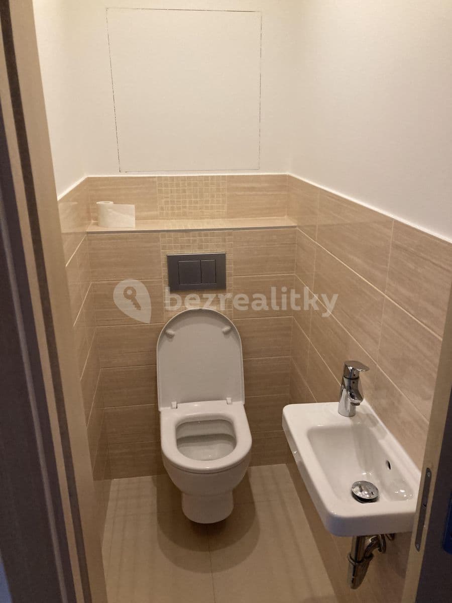 1 bedroom with open-plan kitchen flat to rent, 46 m², Gabinova, Prague, Prague 1 bedroom with open-plan kitchen flat to rent, 46 m², Gabinova, Prague, Prague