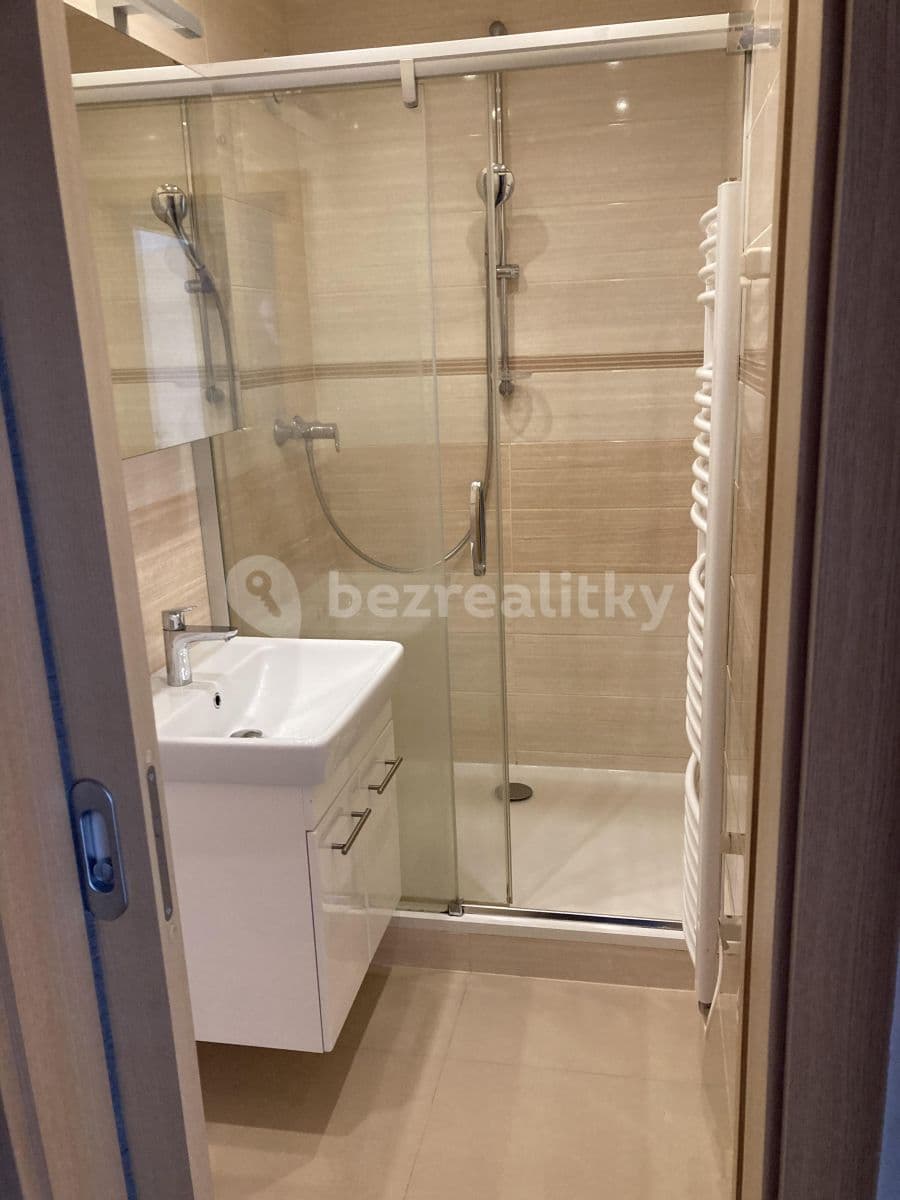 1 bedroom with open-plan kitchen flat to rent, 46 m², Gabinova, Prague, Prague 1 bedroom with open-plan kitchen flat to rent, 46 m², Gabinova, Prague, Prague