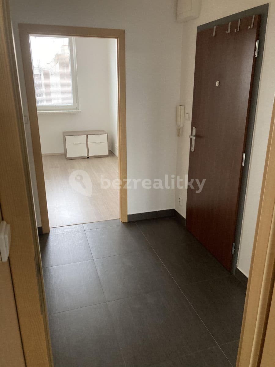 1 bedroom with open-plan kitchen flat to rent, 46 m², Gabinova, Prague, Prague 1 bedroom with open-plan kitchen flat to rent, 46 m², Gabinova, Prague, Prague