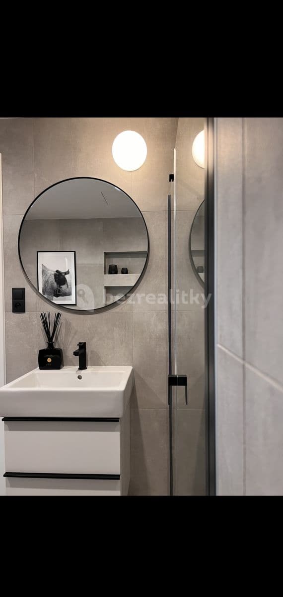 1 bedroom with open-plan kitchen flat to rent, 61 m², Počernická, Prague, Prague 1 bedroom with open-plan kitchen flat to rent, 61 m², Počernická, Prague, Prague