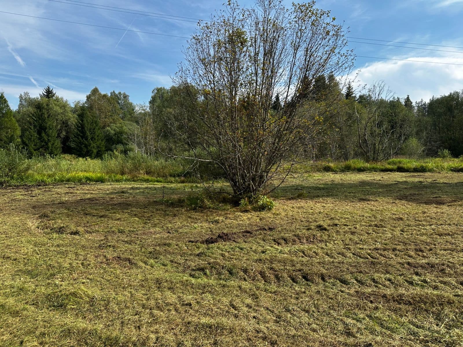 plot for sale, 8,518 m², Nová Pec, Jihočeský Region plot for sale, 8,518 m², Nová Pec, Jihočeský Region