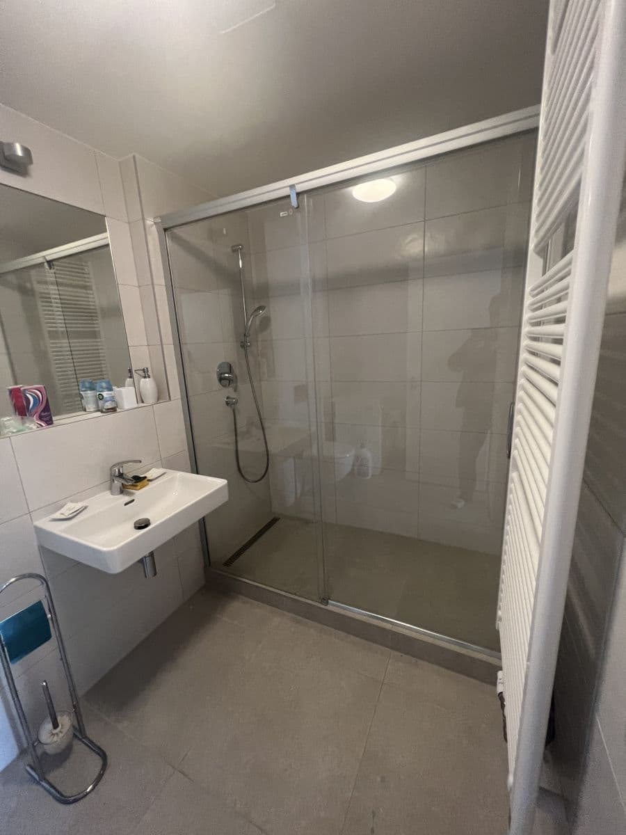 1 bedroom with open-plan kitchen flat to rent, 58 m², Benešova, Prague, Prague 1 bedroom with open-plan kitchen flat to rent, 58 m², Benešova, Prague, Prague