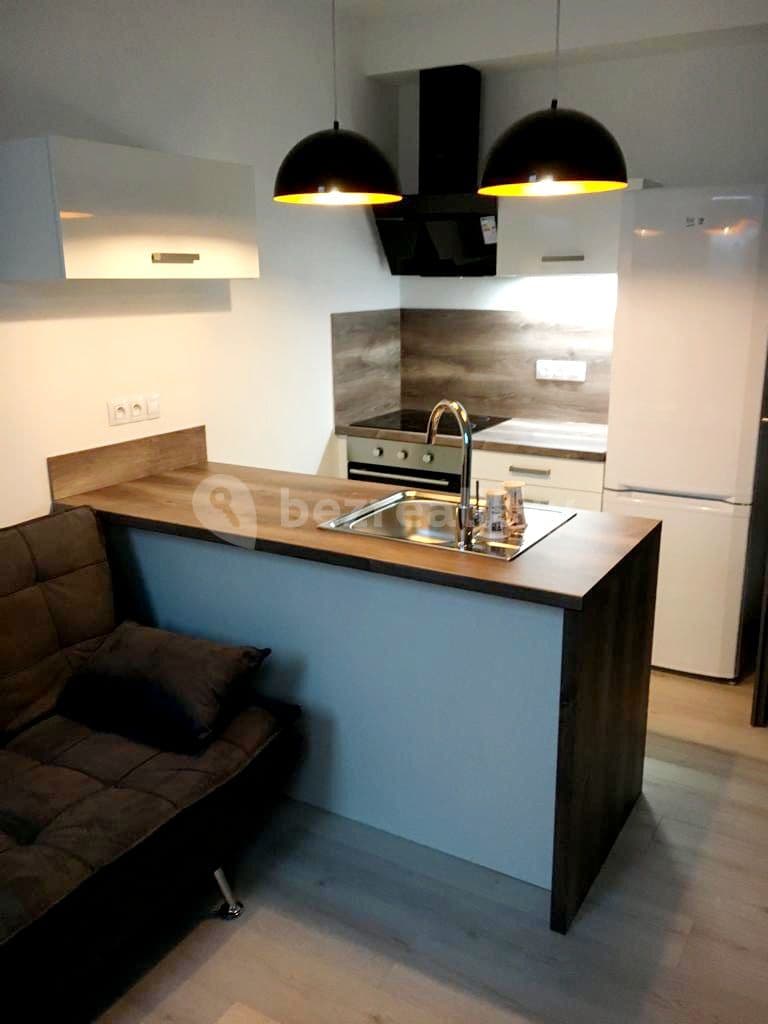 Studio flat to rent, 37 m², U Velkého rybníka, Plzeň, Plzeňský Region Studio flat to rent, 37 m², U Velkého rybníka, Plzeň, Plzeňský Region