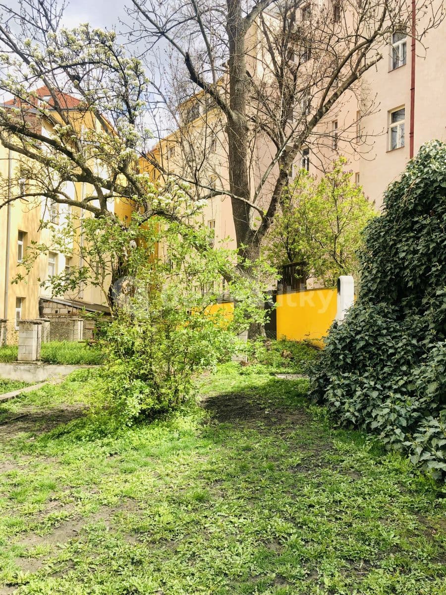 Studio flat to rent, 30 m², Bořivojova, Prague, Prague Studio flat to rent, 30 m², Bořivojova, Prague, Prague