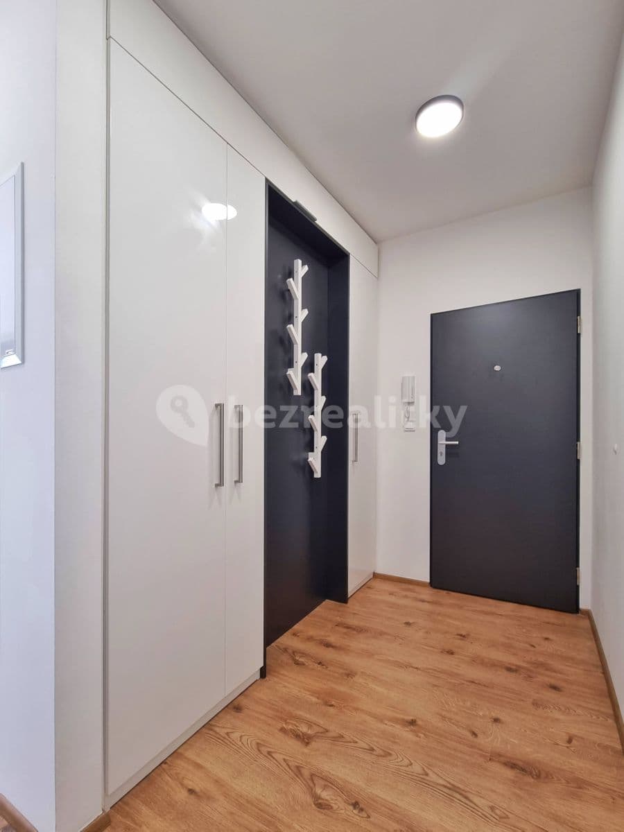 1 bedroom with open-plan kitchen flat to rent, 44 m², Formanská, Prague, Prague 1 bedroom with open-plan kitchen flat to rent, 44 m², Formanská, Prague, Prague