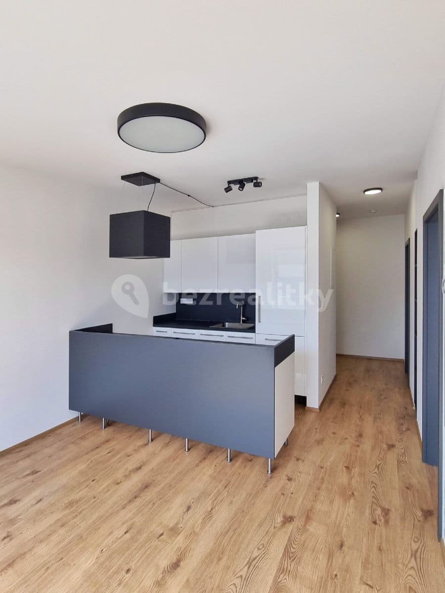 1 bedroom with open-plan kitchen flat to rent, 44 m², Formanská, Prague, Prague 1 bedroom with open-plan kitchen flat to rent, 44 m², Formanská, Prague, Prague
