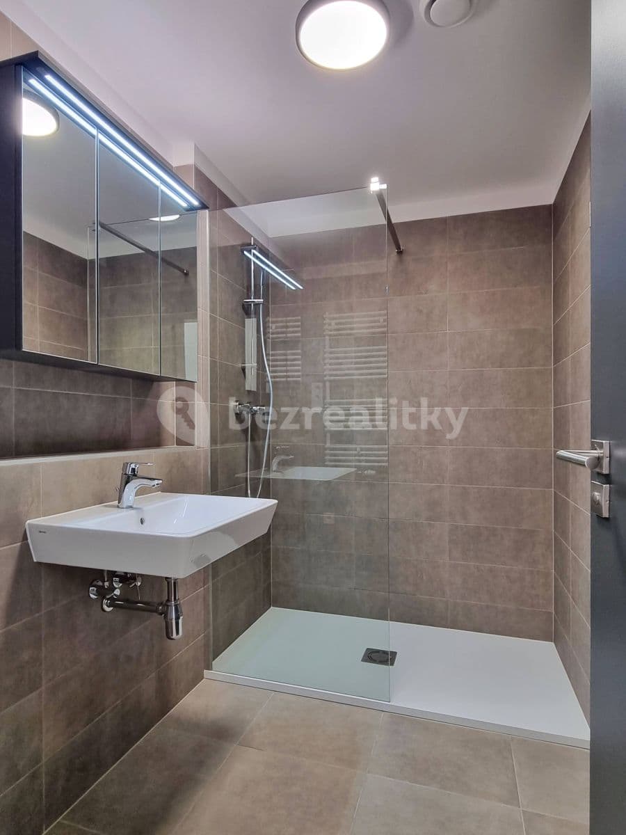 1 bedroom with open-plan kitchen flat to rent, 44 m², Formanská, Prague, Prague 1 bedroom with open-plan kitchen flat to rent, 44 m², Formanská, Prague, Prague