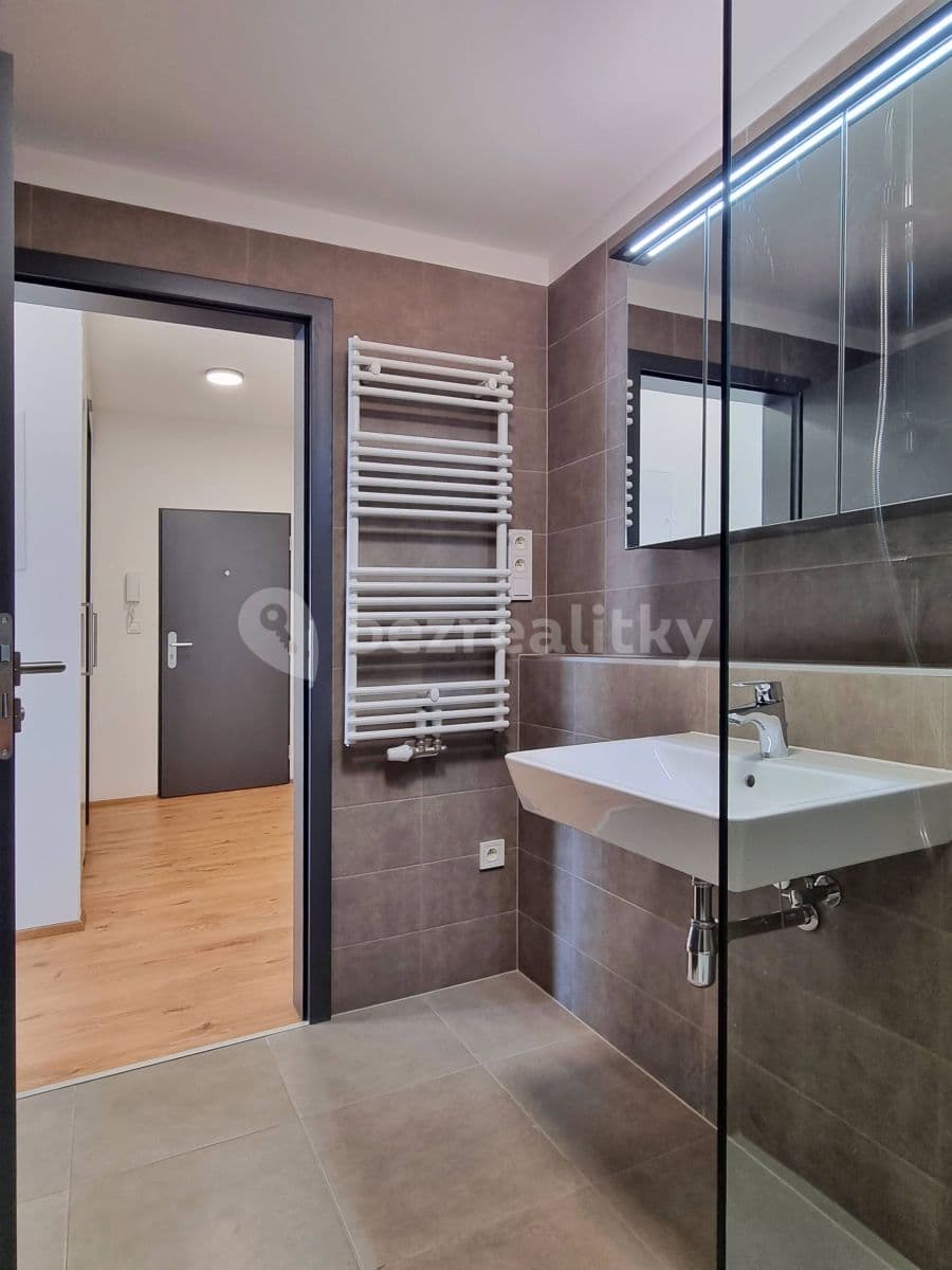 1 bedroom with open-plan kitchen flat to rent, 44 m², Formanská, Prague, Prague 1 bedroom with open-plan kitchen flat to rent, 44 m², Formanská, Prague, Prague