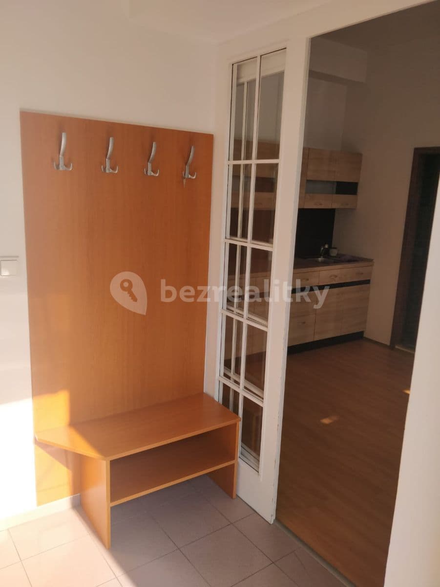 1 bedroom with open-plan kitchen flat to rent, 50 m², Ostopovická, Brno, Jihomoravský Region 1 bedroom with open-plan kitchen flat to rent, 50 m², Ostopovická, Brno, Jihomoravský Region
