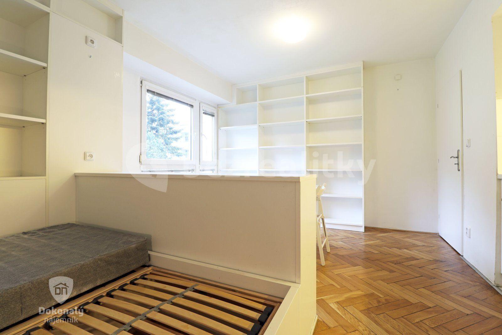 Studio flat to rent, 25 m², Nepomucká, Prague, Prague