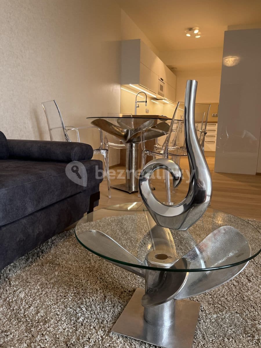 1 bedroom with open-plan kitchen flat to rent, 55 m², Hodonínská, Prague, Prague 1 bedroom with open-plan kitchen flat to rent, 55 m², Hodonínská, Prague, Prague
