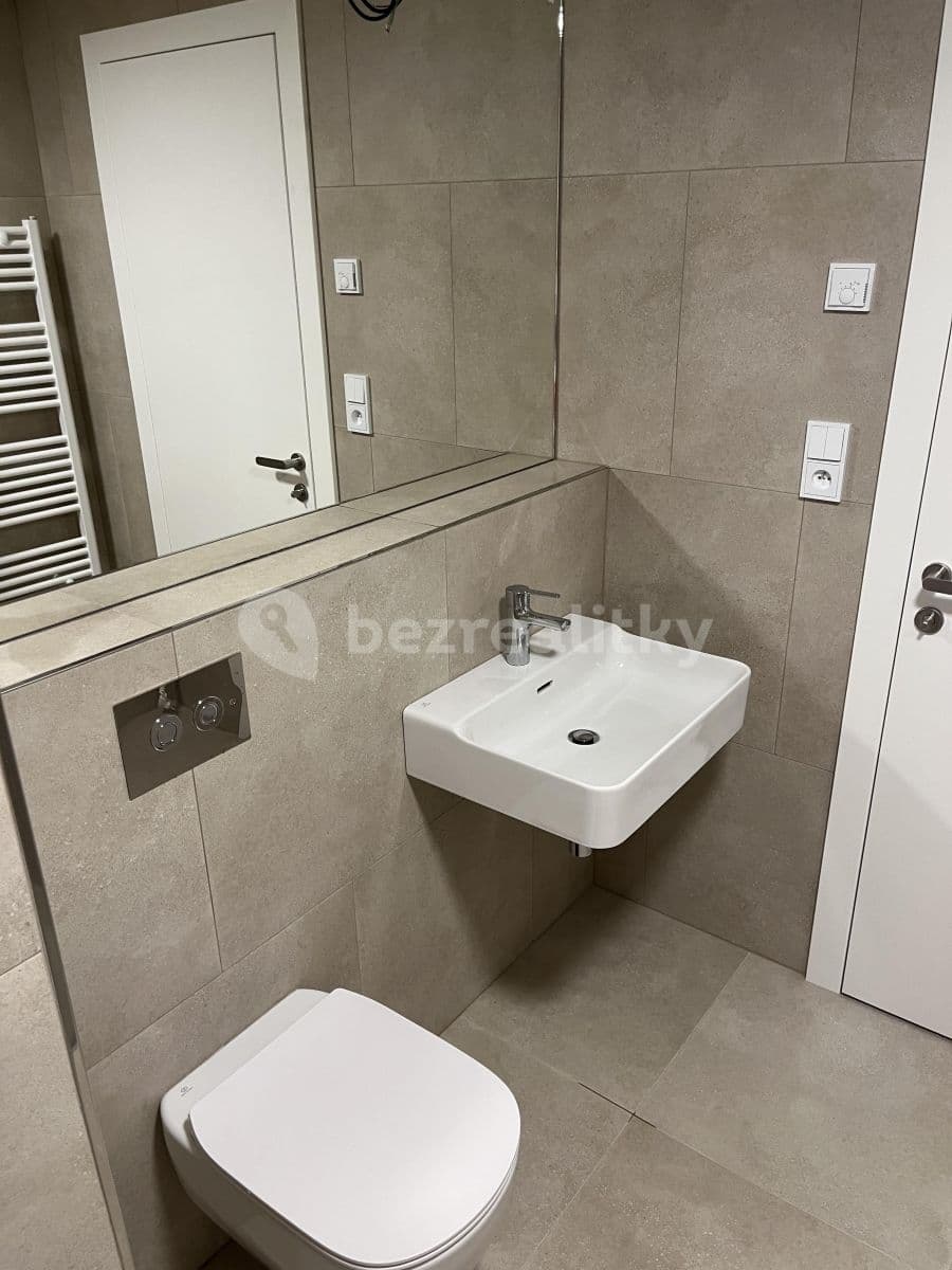 1 bedroom with open-plan kitchen flat to rent, 55 m², Hodonínská, Prague, Prague 1 bedroom with open-plan kitchen flat to rent, 55 m², Hodonínská, Prague, Prague