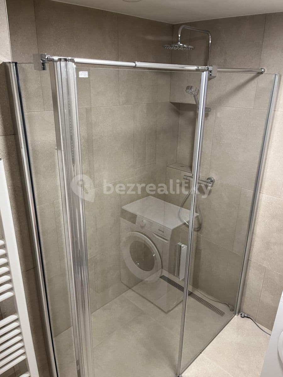 1 bedroom with open-plan kitchen flat to rent, 55 m², Hodonínská, Prague, Prague 1 bedroom with open-plan kitchen flat to rent, 55 m², Hodonínská, Prague, Prague