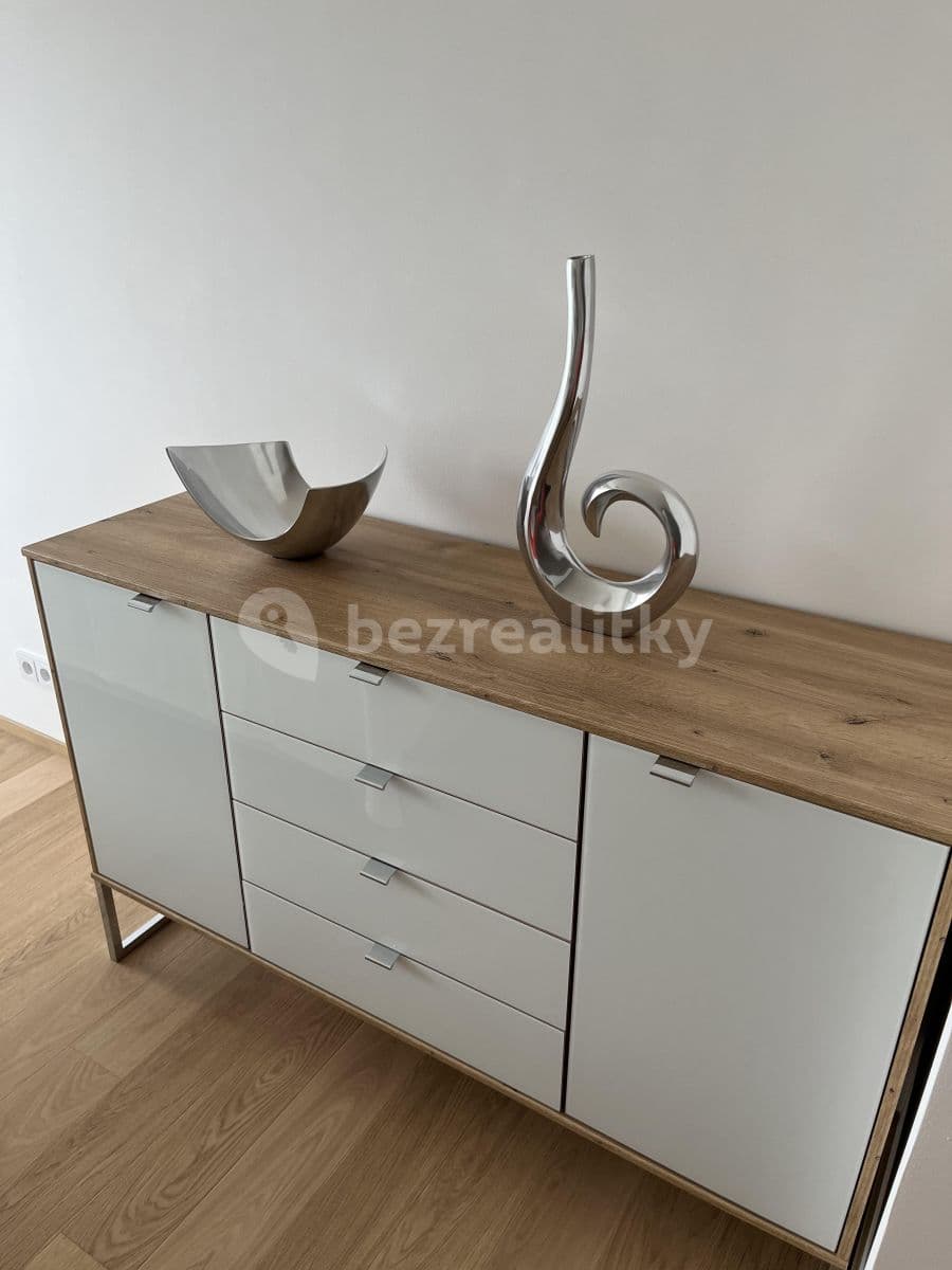 1 bedroom with open-plan kitchen flat to rent, 55 m², Hodonínská, Prague, Prague 1 bedroom with open-plan kitchen flat to rent, 55 m², Hodonínská, Prague, Prague