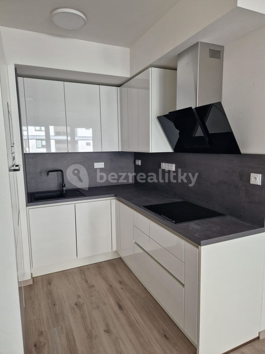 1 bedroom with open-plan kitchen flat to rent, 62 m², Svitákova, Prague, Prague 1 bedroom with open-plan kitchen flat to rent, 62 m², Svitákova, Prague, Prague