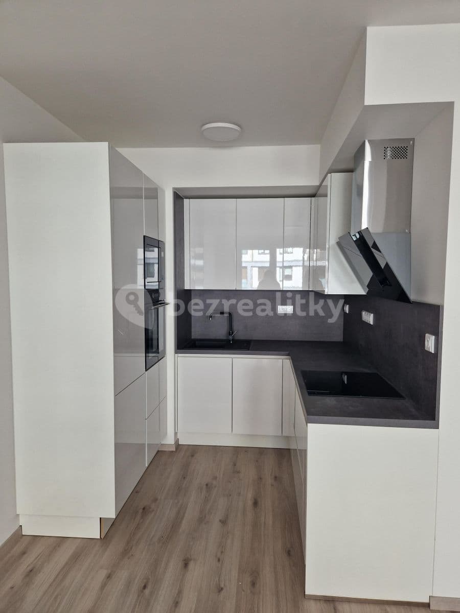 1 bedroom with open-plan kitchen flat to rent, 62 m², Svitákova, Prague, Prague 1 bedroom with open-plan kitchen flat to rent, 62 m², Svitákova, Prague, Prague