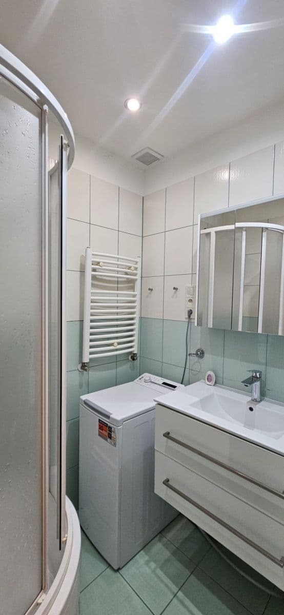 1 bedroom with open-plan kitchen flat to rent, 47 m², U Nových domů Ⅱ, Prague, Prague 1 bedroom with open-plan kitchen flat to rent, 47 m², U Nových domů Ⅱ, Prague, Prague