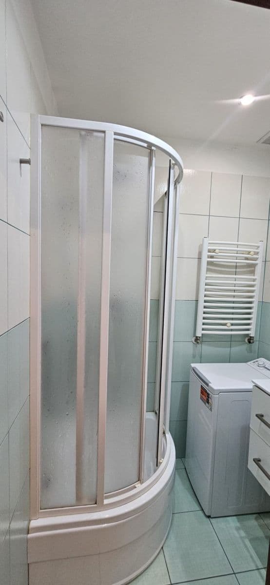 1 bedroom with open-plan kitchen flat to rent, 47 m², U Nových domů Ⅱ, Prague, Prague 1 bedroom with open-plan kitchen flat to rent, 47 m², U Nových domů Ⅱ, Prague, Prague