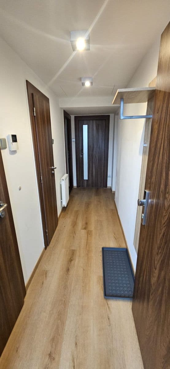 1 bedroom with open-plan kitchen flat to rent, 47 m², U Nových domů Ⅱ, Prague, Prague 1 bedroom with open-plan kitchen flat to rent, 47 m², U Nových domů Ⅱ, Prague, Prague