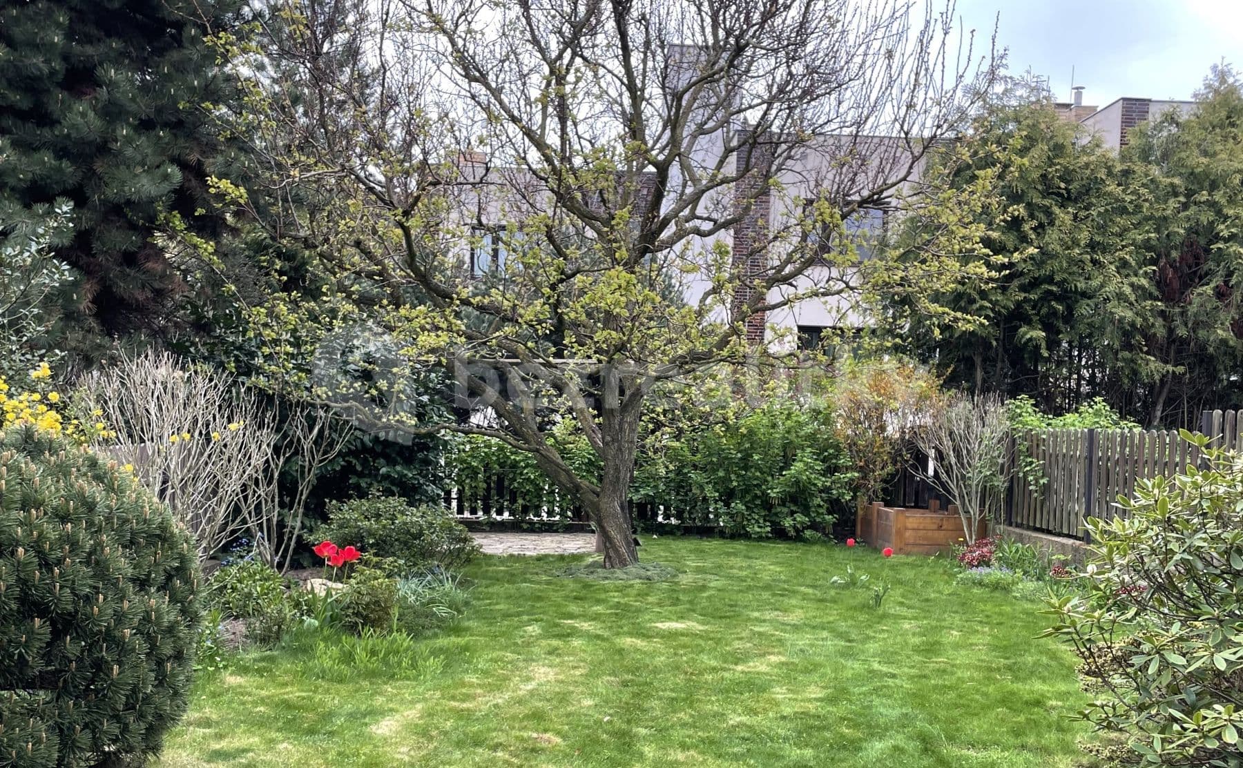 1 bedroom flat to rent, 30 m², Staňkova, Prague, Prague 1 bedroom flat to rent, 30 m², Staňkova, Prague, Prague