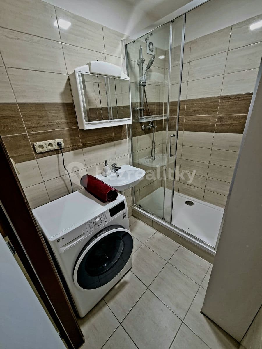 1 bedroom with open-plan kitchen flat to rent, 44 m², U Jezera, Prague, Prague 1 bedroom with open-plan kitchen flat to rent, 44 m², U Jezera, Prague, Prague
