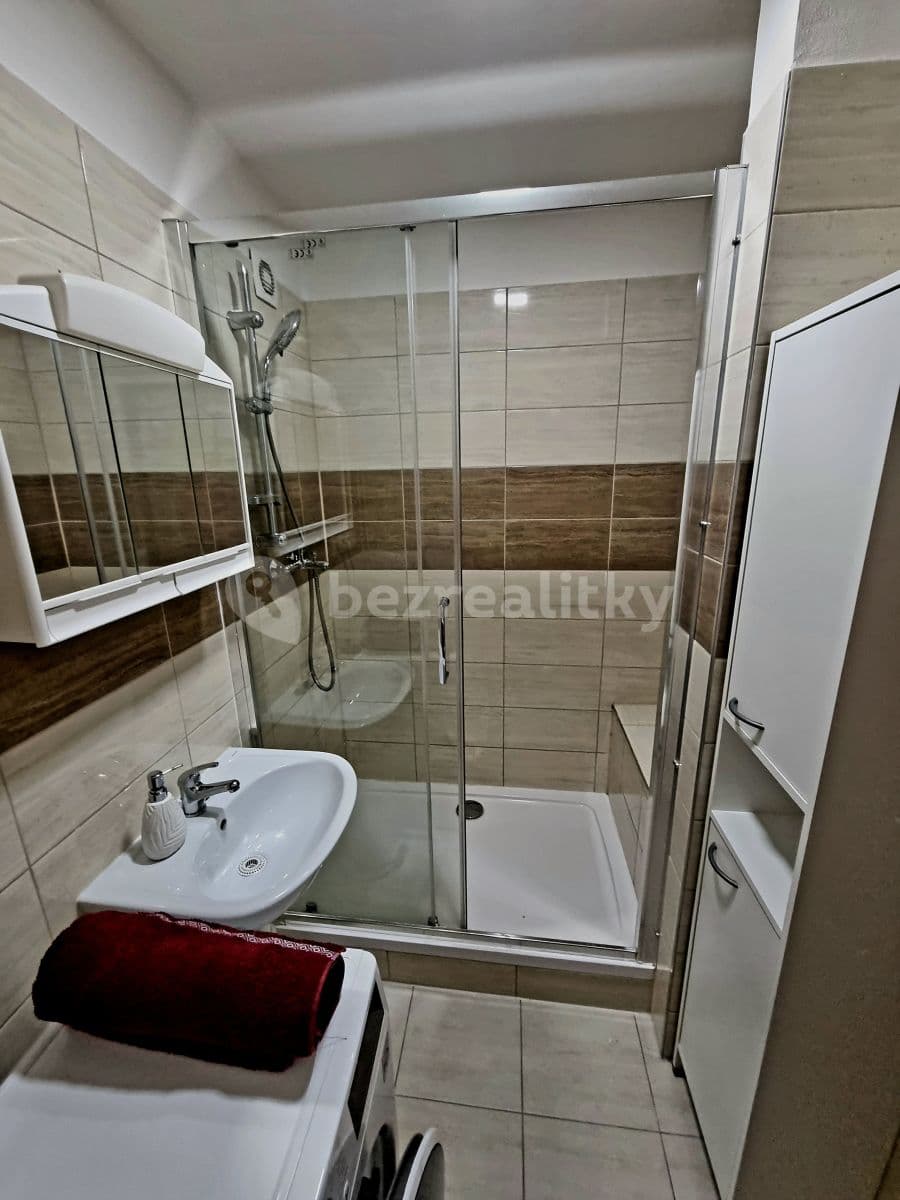 1 bedroom with open-plan kitchen flat to rent, 44 m², U Jezera, Prague, Prague 1 bedroom with open-plan kitchen flat to rent, 44 m², U Jezera, Prague, Prague