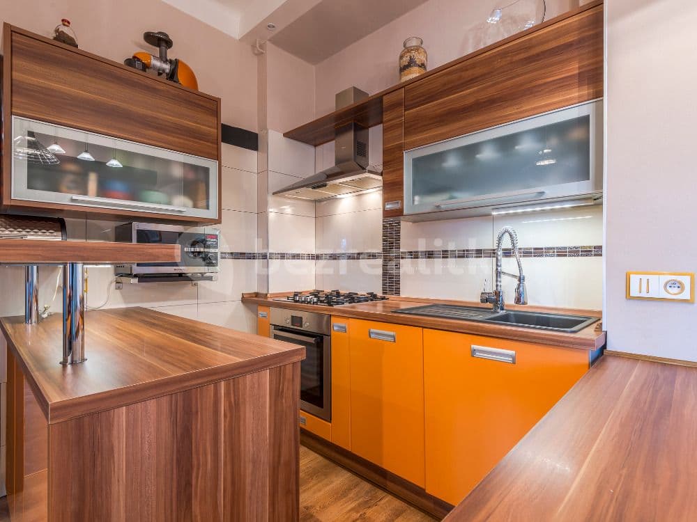 1 bedroom with open-plan kitchen flat to rent, 55 m², Ruská, Prague, Prague 1 bedroom with open-plan kitchen flat to rent, 55 m², Ruská, Prague, Prague