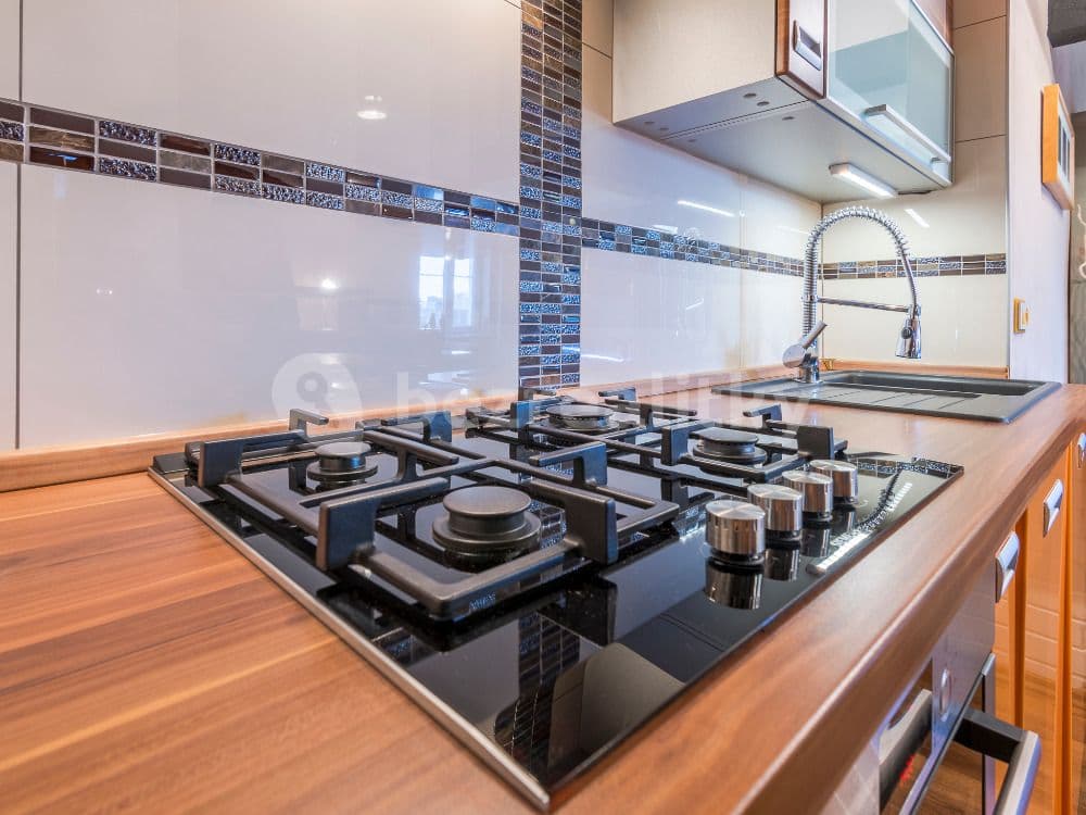 1 bedroom with open-plan kitchen flat to rent, 55 m², Ruská, Prague, Prague 1 bedroom with open-plan kitchen flat to rent, 55 m², Ruská, Prague, Prague