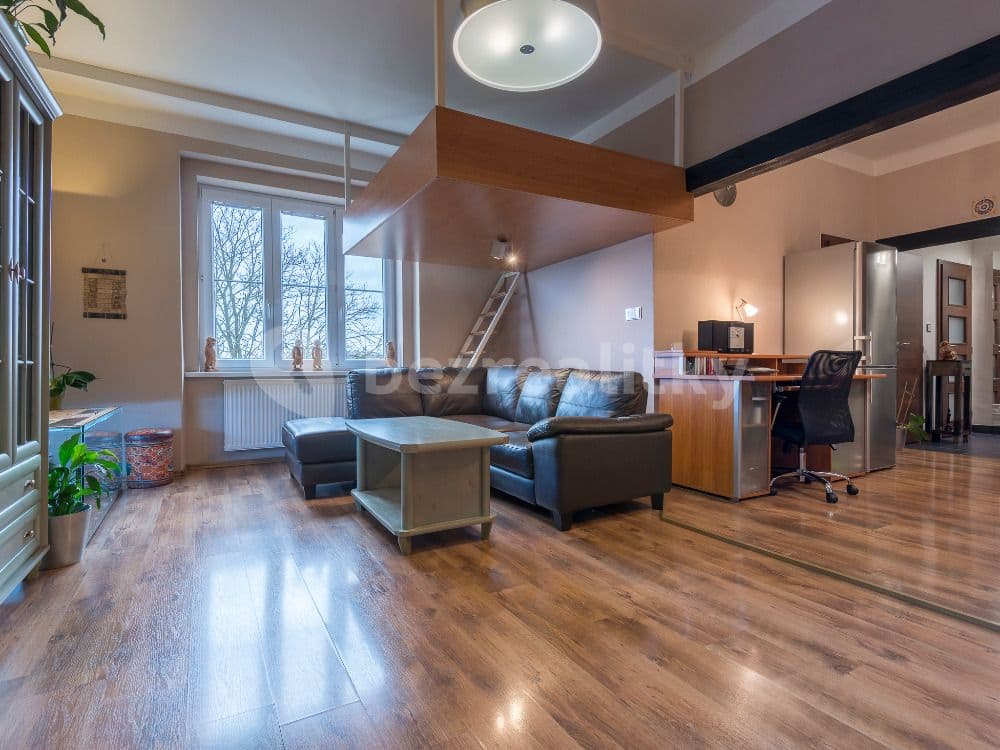 1 bedroom with open-plan kitchen flat to rent, 55 m², Ruská, Prague, Prague 1 bedroom with open-plan kitchen flat to rent, 55 m², Ruská, Prague, Prague